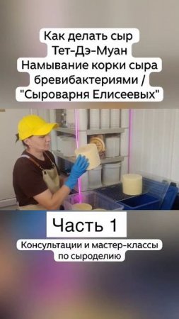 Как делать сыр  Тет-Дэ-Муан Намывание корки сыра бревибактериями / "Сыроварня Елисеевых" / Часть 1