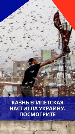 Теперь и в Одессе: смотрите, кто уничтожает южные регионы Украины. Что скажете по этому поводу?