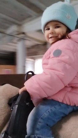 VID_20241008_114330