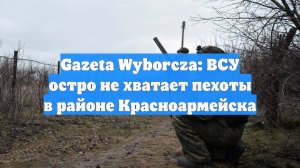 Gazeta Wyborcza: ВСУ остро не хватает пехоты в районе Красноармейска