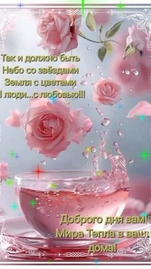 Доброе утро !