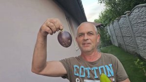 Семья Сытник- Адская ночь, железки на газоне.