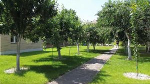 2bb33179-b020-44fc-b00e-82bd29279eaf