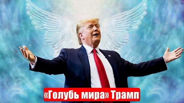 Милитарист Рубио и «голубь мира» Трамп. Срочные и важные новости смотреть онлайн