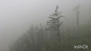 Горный воздух, Сахалин, горловое пение