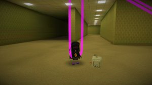 закулисье в супер биарадвэнчер