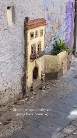 VID_20250726_210136_764.mp4