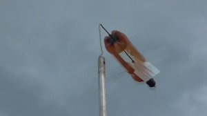 Изменил конструкцию отпугивателя птиц