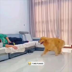 Это тут лишнее!😁