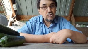 В мятой рубашке про огурцы и грядки 26.07.25