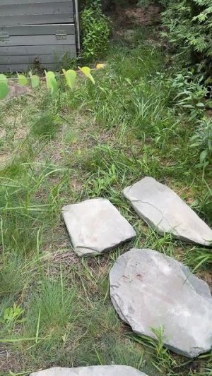 Дорожки в саду своими руками  Вы бы оставили траву между плитами?