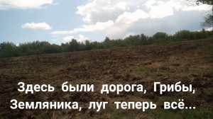 Было красиво грибы, ягоды, дорога без комментариев теперь всё...