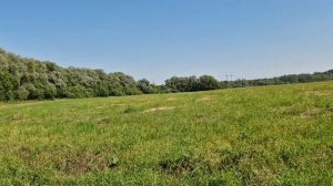 Выезд на поле