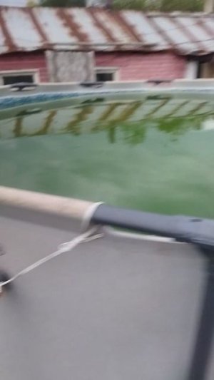 басик