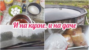 ТОРТ НА ДЕНЬ РОЖДЕНИЕ 🎊 УРОЖАЙ НА ОГОРОДЕ // ДОЖДИ // ПОКУПКИ