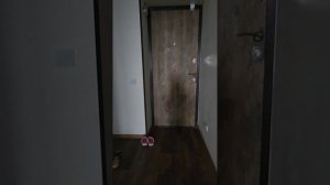 110011.mp4