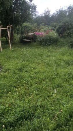 В дождь