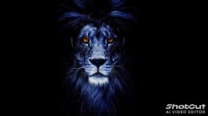 DJ LEV- Confidence.