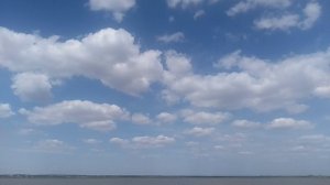 VID_20250725_143852