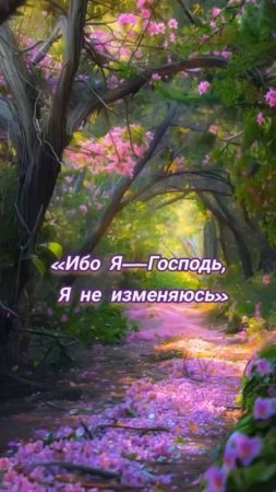 VID_20250726_210807_578.mp4