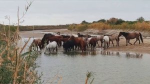 Рыбалка.