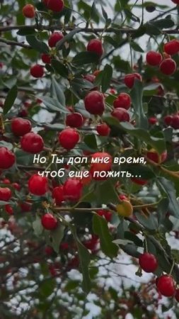 Счастье на ладошке