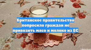 Британское правительство попросило граждан не привозить мясо и молоко из ЕС