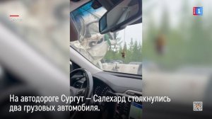 На автодороге Сургут — Салехард столкнулись два грузовых автомобиля