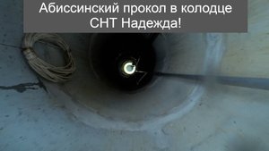 Абиссинский прокол в колодце СНТ Надежда!