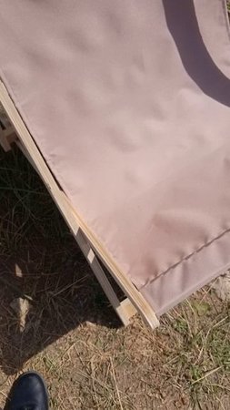 рыбалка без границ 20.07.2025