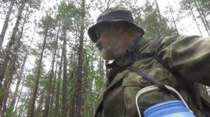 Легко ли угостить морошкой Удора 2025г #1