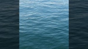 с днём (ВМФ)