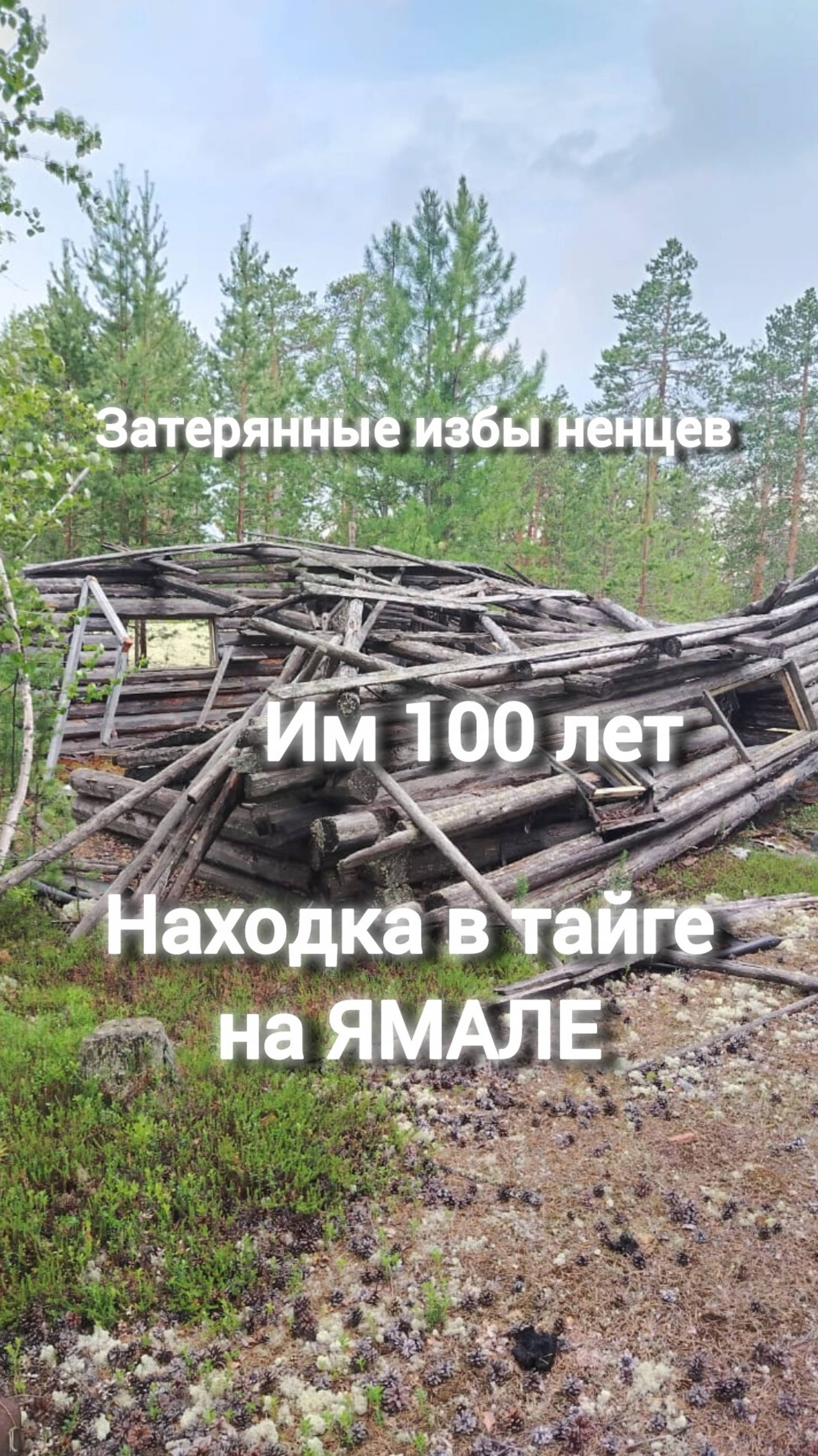 Избы ненцев в тайге, им 100 лет, заброшены, развалены, река Етыпур, Ямал смотреть онлайн