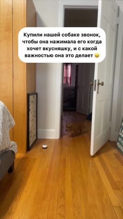👉 https://kamennyi-zver.ru