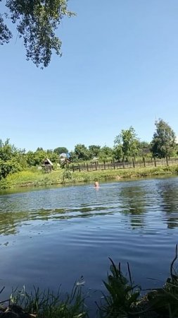 26-07-2025