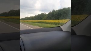 заряжайтесь энергией от природы