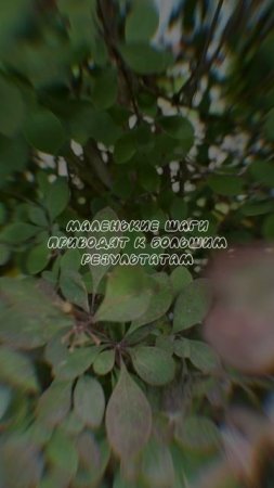 ВСЁ и СРАЗУ не работает…