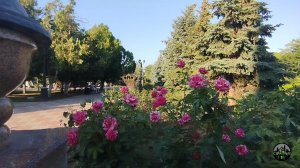 Районы и улицы Керчи. Улица Театральная ( бывшая Дворянская, Воронцовская)