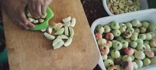 Куда девать яблоки когда много