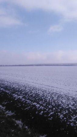 VID_20250115_135616