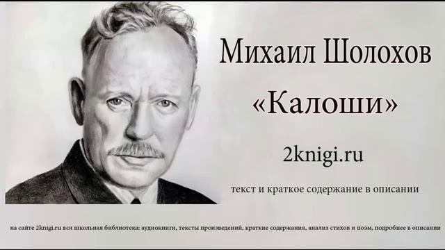 Михаил Шолохов "Калоши" - аудиокнига. смотреть онлайн