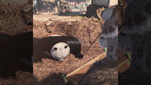 а ты кто такой?