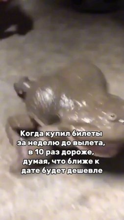 Покупка билетов ближе к дате