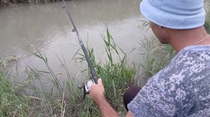 Рыбалка в Бишкеке,поймали огромную рыбу.Кыргызстан,Манас, ловим очень много рыбы