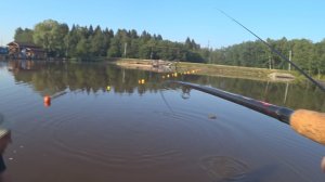 Рыбалка на карпа в Марлин 24.07.2025