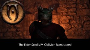 The Elder Scrolls IV Oblivion Remastered #27 - Вредное лекарство