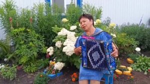 Ҡарағат ҡара була