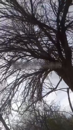 Вражеские каналы публикуют  видео с ликвидацией нашего бойца от FPV ВСУ, но Воин родился в кольчуге