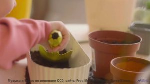 Кадры природы, которые снимут стресс за 3 минуты! - Imports -- Ketsa -- Unified Division
