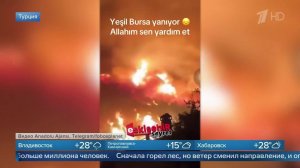 Появились кадры мощного лесного пожара в турецкой Бурсе